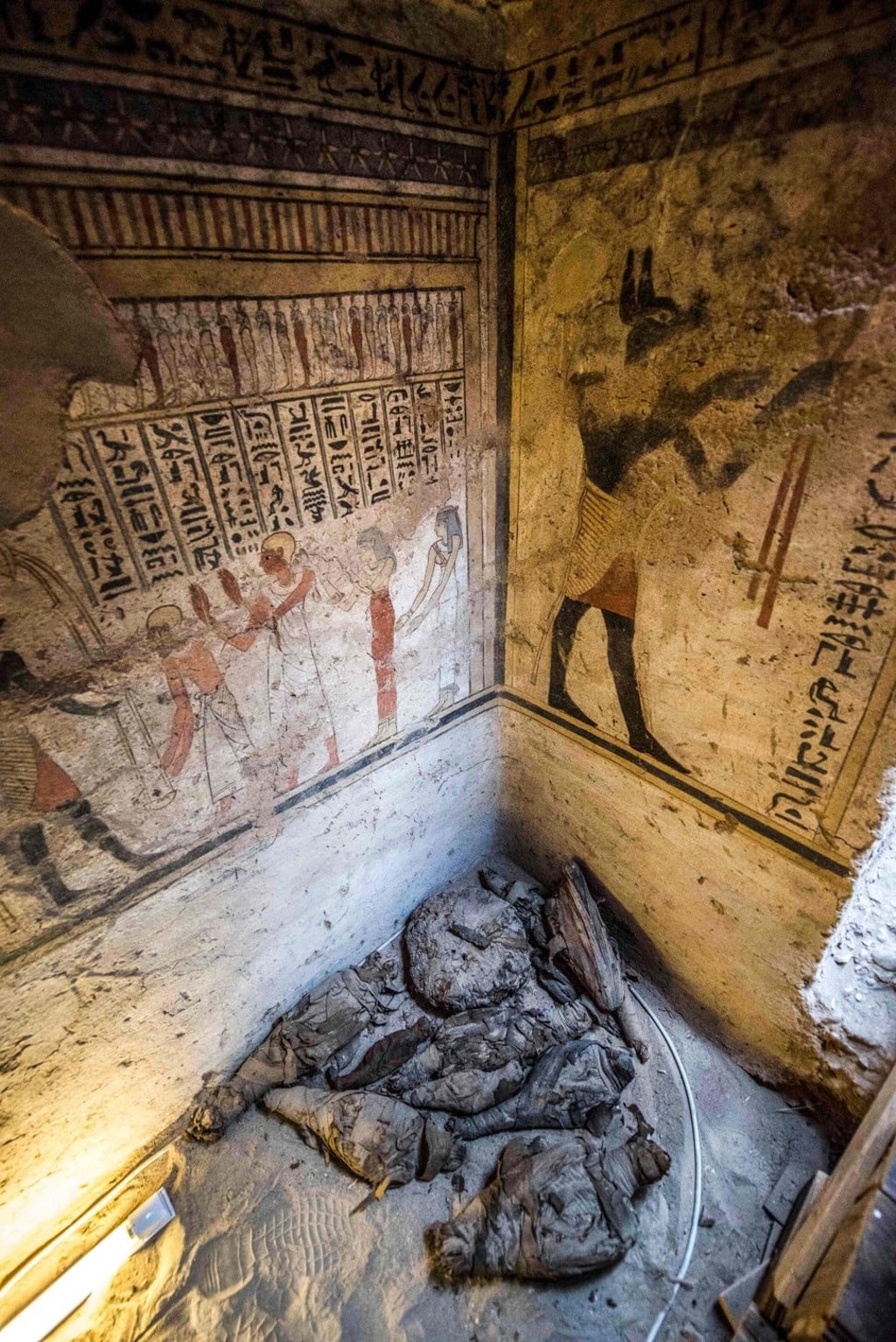 Mummified animals are seen inside the Tomb of Tutu, in Egypt's Sohag province. Photo: AFP Mummified animals are seen inside the Tomb of Tutu, in Egypt's Sohag province. Photo: AFP