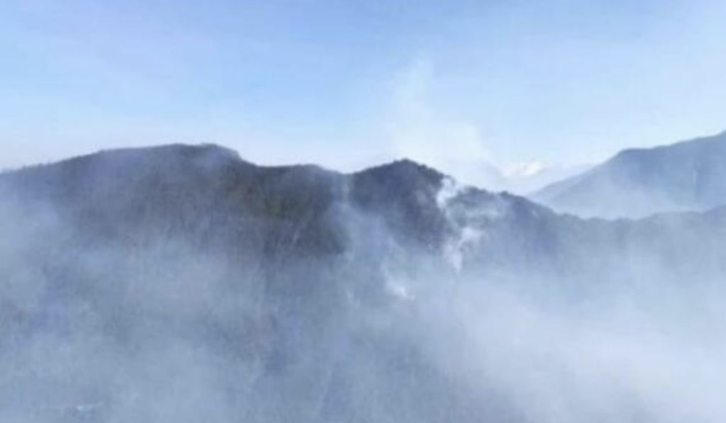 The new blaze covers an area of five to 10 hectares, CCTV reported. Photo: Thepaper.cn