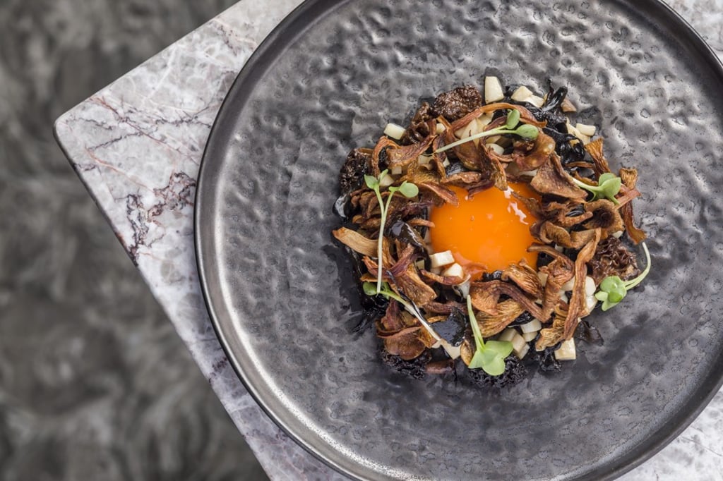 Morel king mushroom with confit egg yolk and potato purée at Ignis by Linx