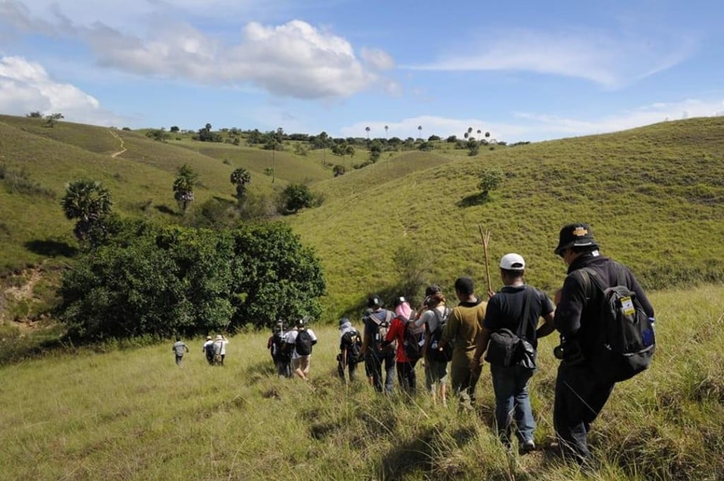 Tourists trekking on Rinca Island, one of the homes of the Komodo dragon, in Komodo National Park. Photo: AFP Tourists trekking on Rinca Island, one of the homes of the Komodo dragon, in Komodo National Park. Photo: AFP