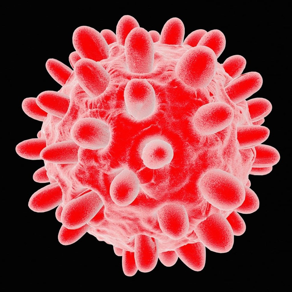 A hepatitis B cell. Photo: Alamy