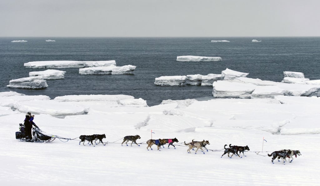 The Iditarod trail sledge dog race passes icebergs in open water on Norton Sound on the approach to Nome, Alaska, on Saturday. Photo: Anchorage Daily News via AP