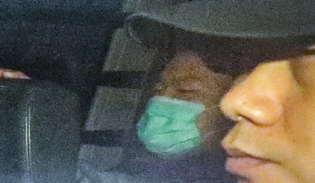 Chan Tong-kai (left) pleaded guilty to money laundering charges in Hong Kong. Photo: Felix Wong