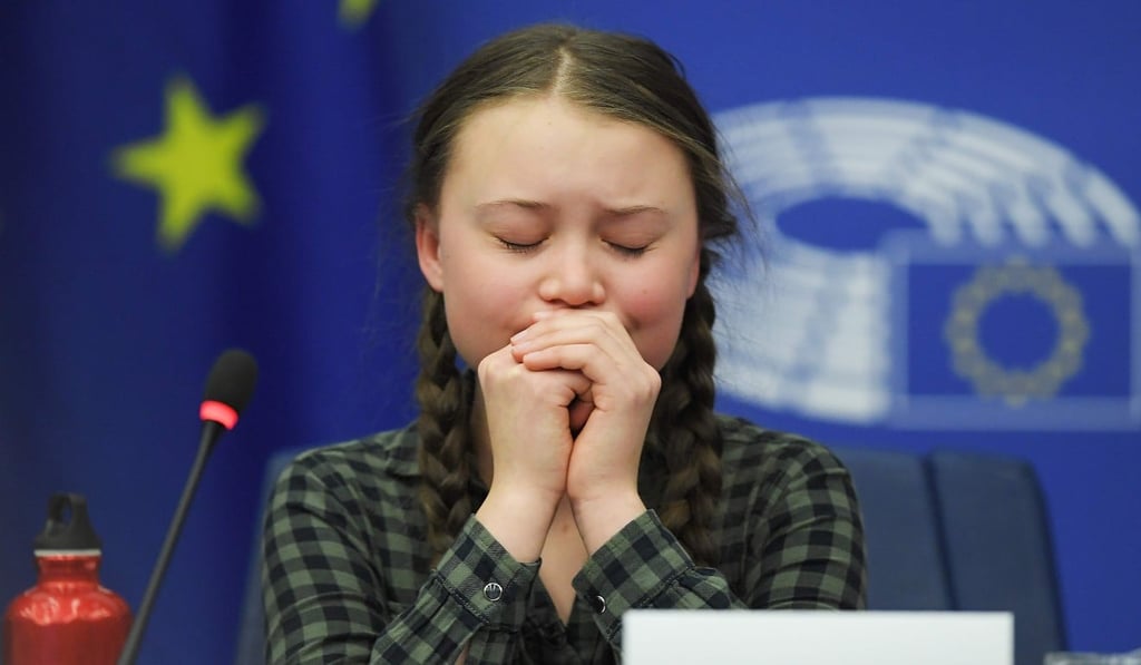 Swedish climate activist Greta Thunberg reacts during a debate with the EU Environment, Public Health and Food Safety Committee on Tuesday. Photo: AFP
