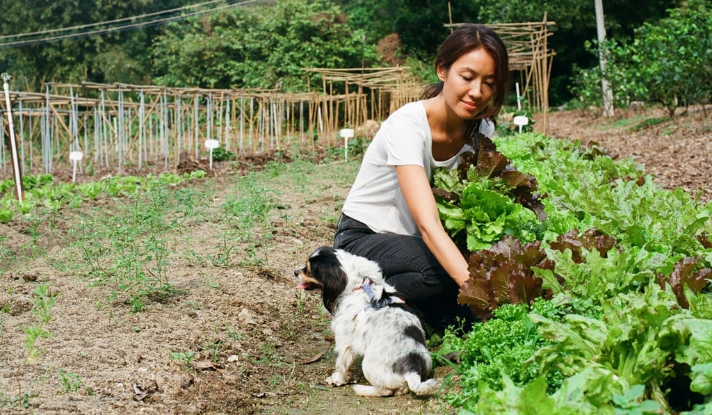 Justine Kwok, founder of Flow, in the organic farm where she says visitors can get their hands dirty and learn where ‘real food comes from’. Photo: Abdela Igmirien Justine Kwok, founder of Flow, in the organic farm where she says visitors can get their hands dirty and learn where ‘real food comes from’. Photo: Abdela Igmirien