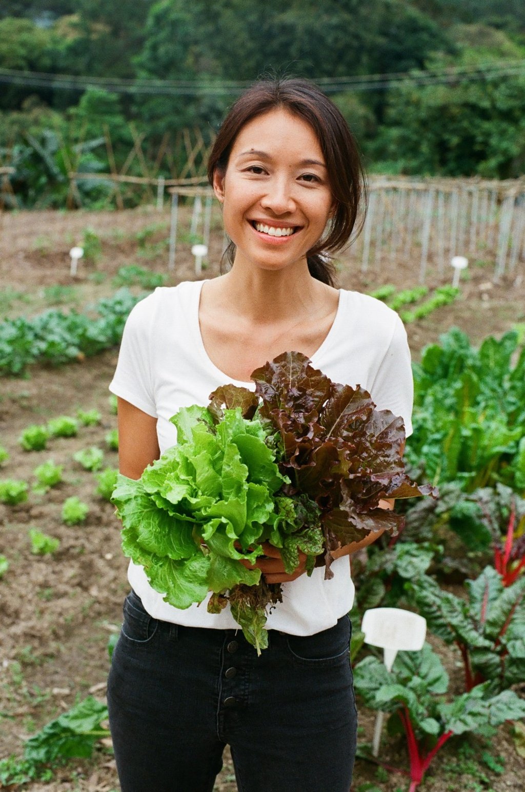 Justine Kwok, founder of Flow, with some of the lettuce grown at the organic farm. Photo: Abdela Igmirien Justine Kwok, founder of Flow, with some of the lettuce grown at the organic farm. Photo: Abdela Igmirien