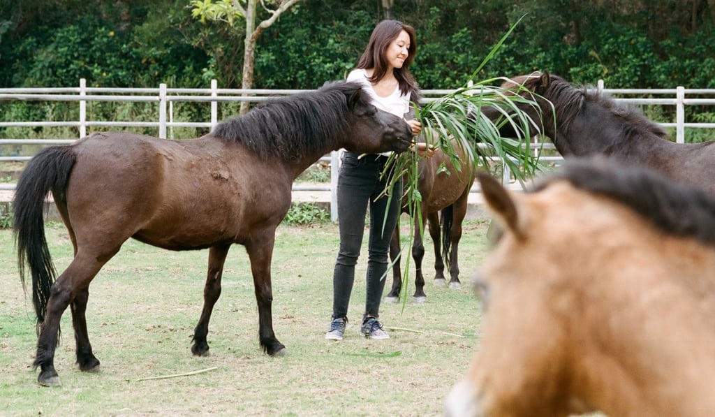 Justine Kwok tends some of the mules at Flow experiential farm and animal sanctuary, which she founded to provide a fun and safe environment for people and animals. Photo: Abdela Igmirien Justine Kwok tends some of the mules at Flow experiential farm and animal sanctuary, which she founded to provide a fun and safe environment for people and animals. Photo: Abdela Igmirien