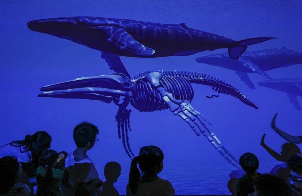 The system recreates marine animals rarely seen in the wild. Photo: Jonathan Wong