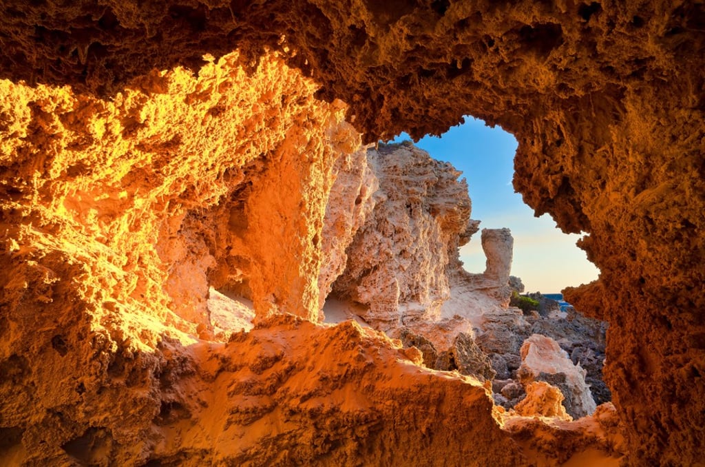 Fossilised remains of a forest in the marine park. Photo: Alamy Fossilised remains of a forest in the marine park. Photo: Alamy