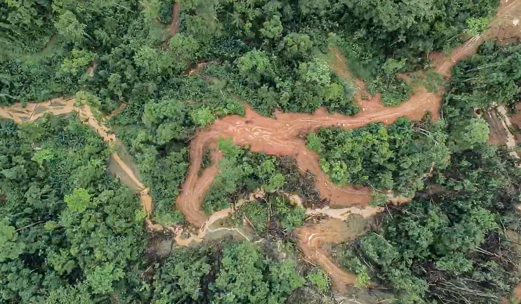 Logging roads in the Solomon Islands. Photo: Reuters