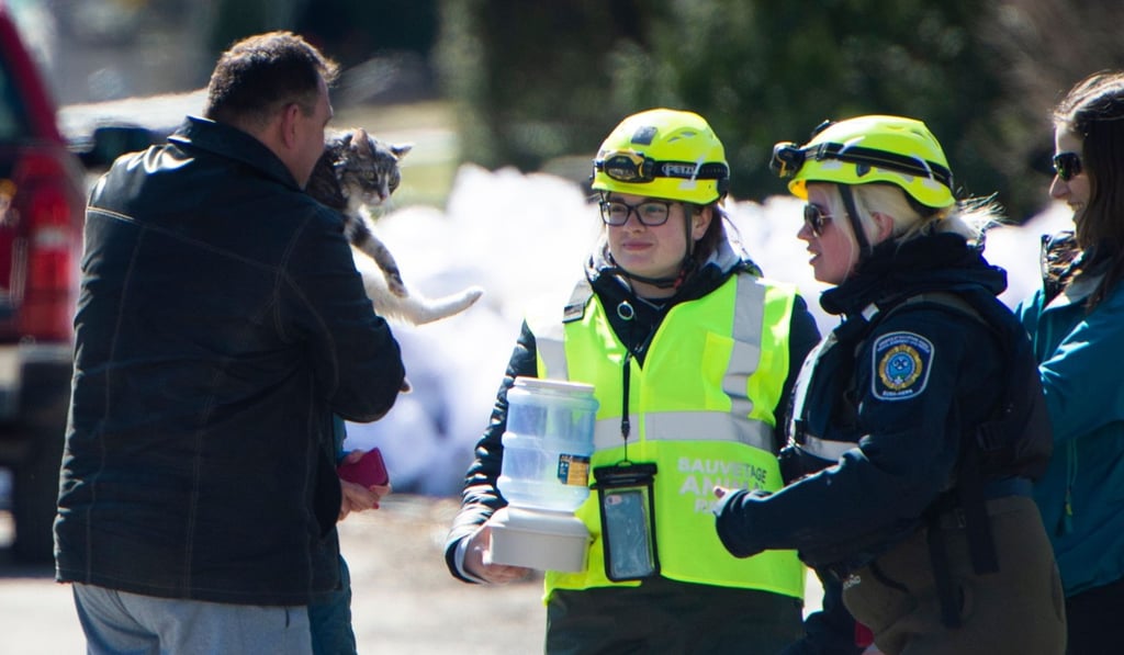 Animal rescue and relief operations are under way amid flooding in Sainte-Marthe-sur-le-Lac, a suburb of Montreal, Quebec on Monday. Photo: AFP