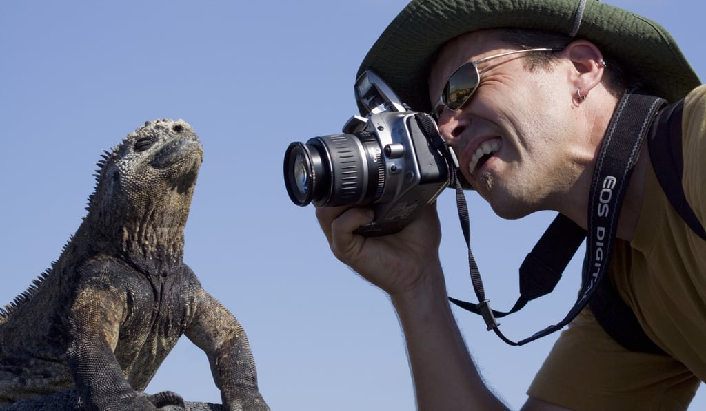 Tourist photographing a marine iguana in the Galapagos. Photo: Biosphoto Tourist photographing a marine iguana in the Galapagos. Photo: Biosphoto
