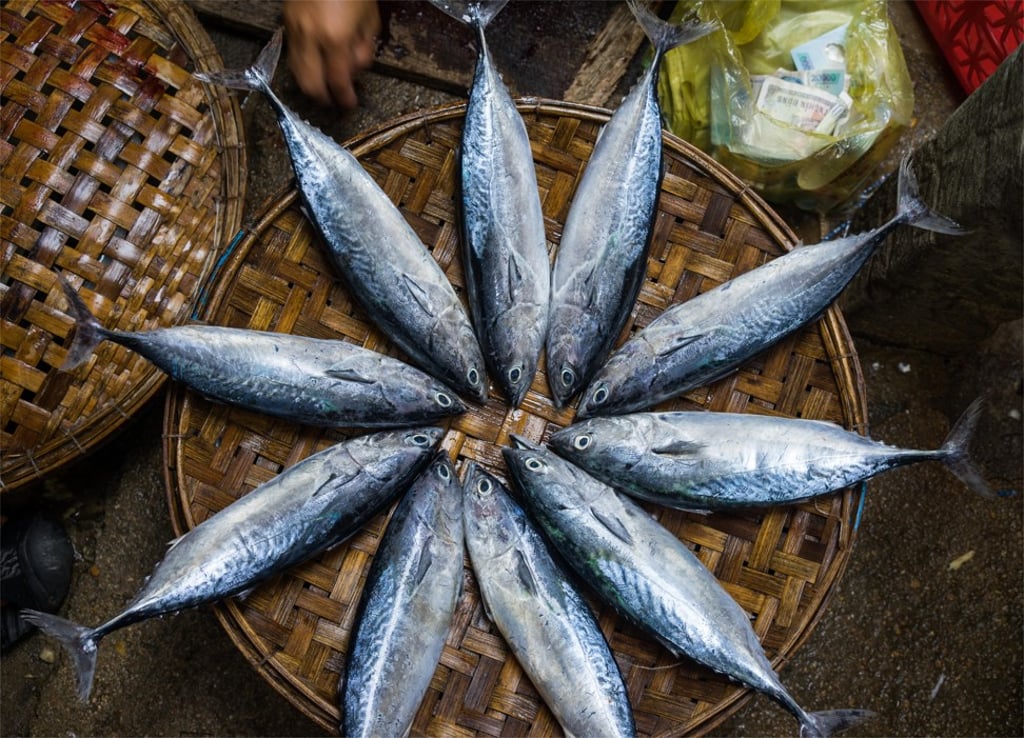 Fresh fish at a rural market in Quy Nhon, Vietnam. Photo: Alamy Fresh fish at a rural market in Quy Nhon, Vietnam. Photo: Alamy