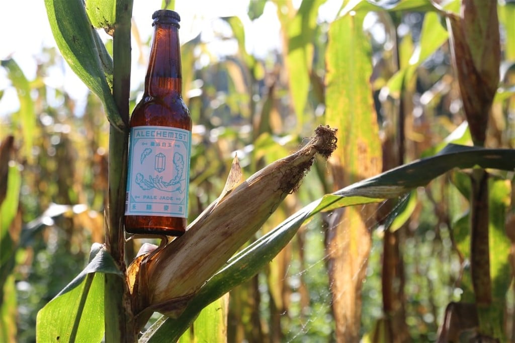White corn used in this pale ale from Alechemist releases a light buttery, popcorn scent with a mild honey-like sweetness.