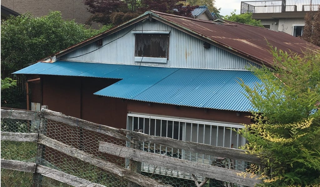 Some 3.47 million properties have been abandoned. Photo: Julian Ryall