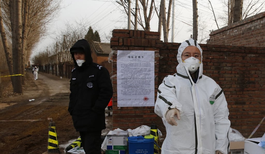 The latest outbreak began in Northern China last August, and led to the culling of 19,000 pigs. Photo: EPA-EFE