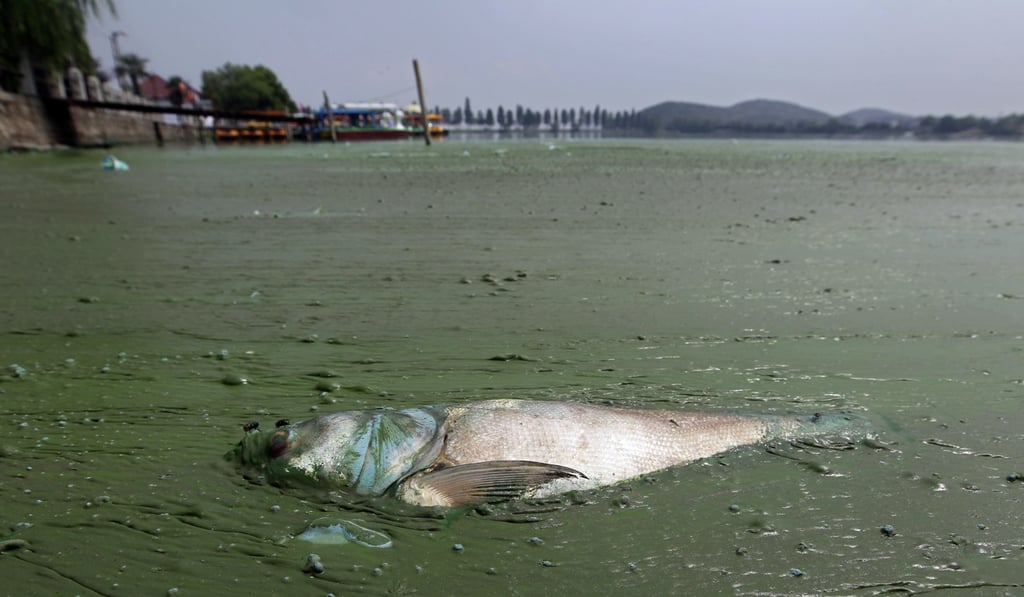 Pollution levels in some lakes or rivers have also worsened. Photo: Reuters Pollution levels in some lakes or rivers have also worsened. Photo: Reuters