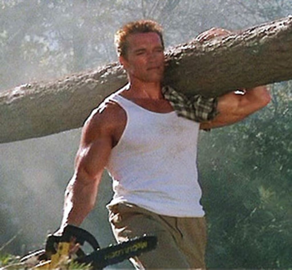 Arnold Schwarzenegger carries a tree trunk on his shoulders in the movie Commando. Photo: 20th Century Fox Arnold Schwarzenegger carries a tree trunk on his shoulders in the movie Commando. Photo: 20th Century Fox