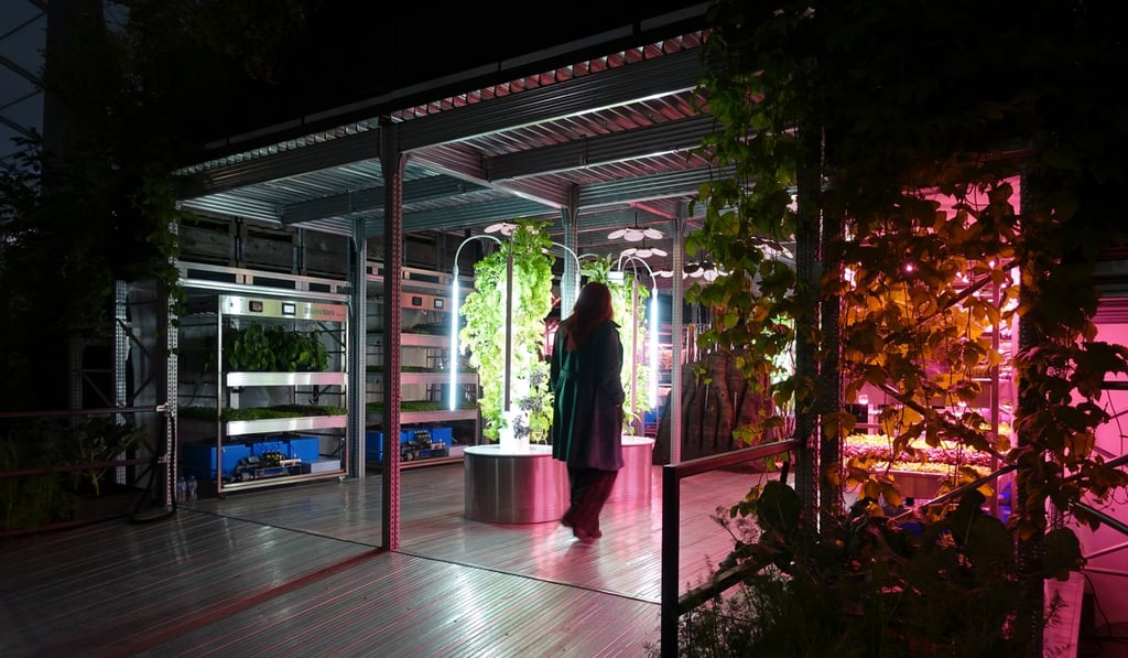 The interior of the Gardening Will Save The World installation, by Tom Dixon and Ikea, at Chelsea Flower Show 2019 in London.