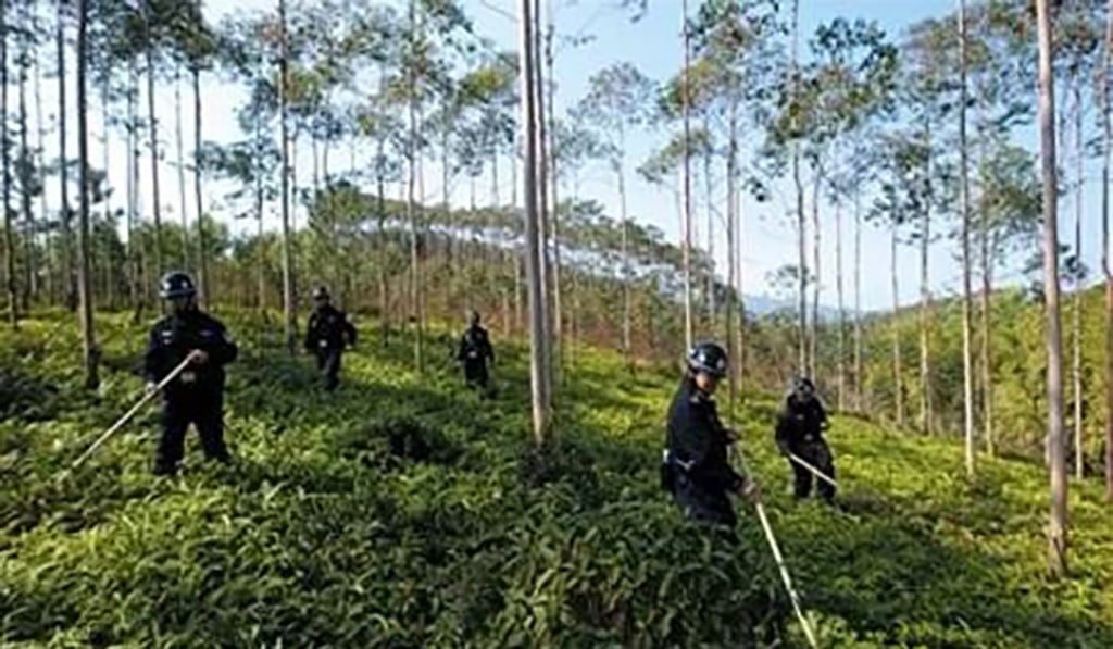 Thousands of armed police joined the hunt for Zhang. Photo: Weibo