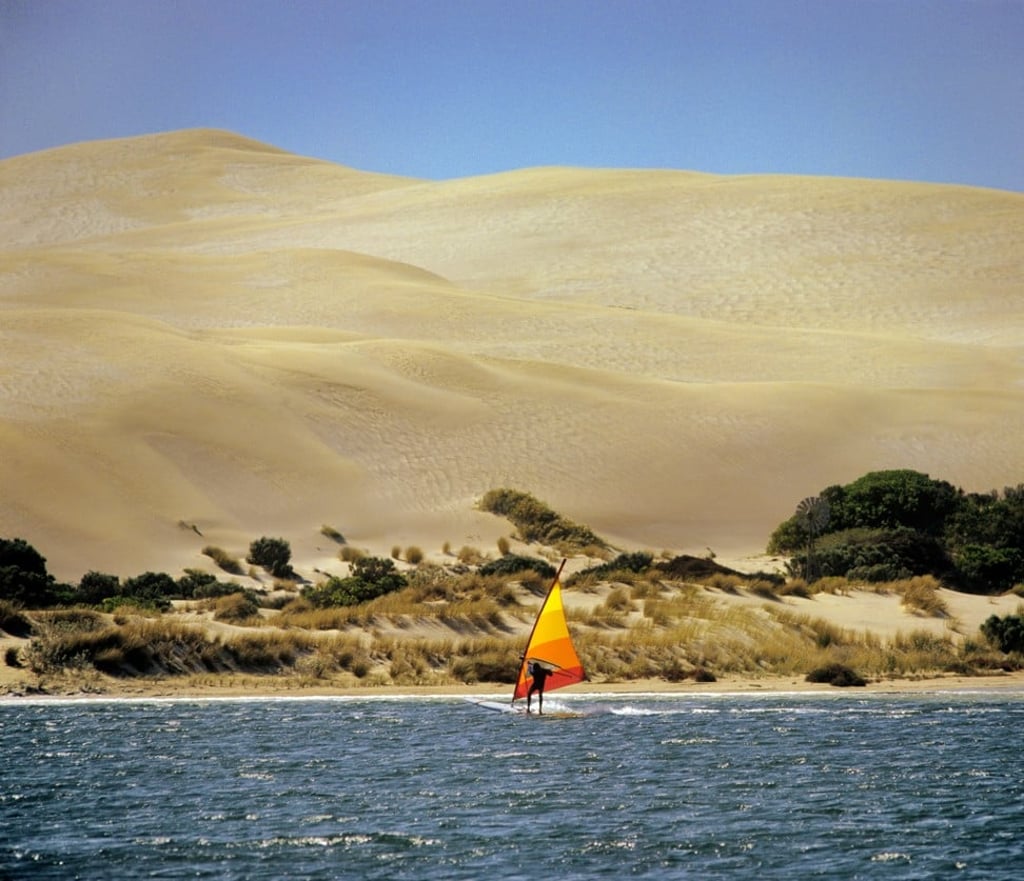 A windsurfer explores the waters of Lake MacDonnall in the Great Australian Bight off South Australia. The giant Chadinga dunes are in the background.