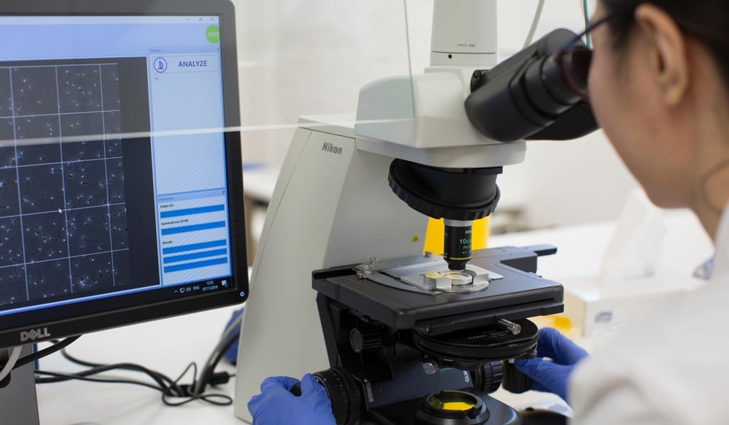 A researcher studies sperm using a microscope. Photo: Alamy