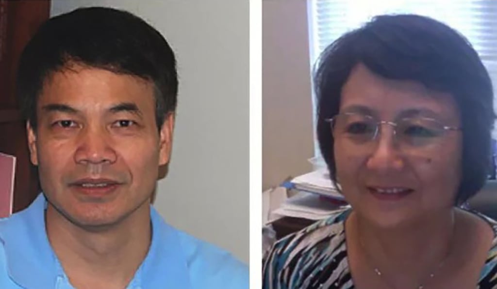 Li Xiaojiang, left, and Li Shihua. Photo: Handout