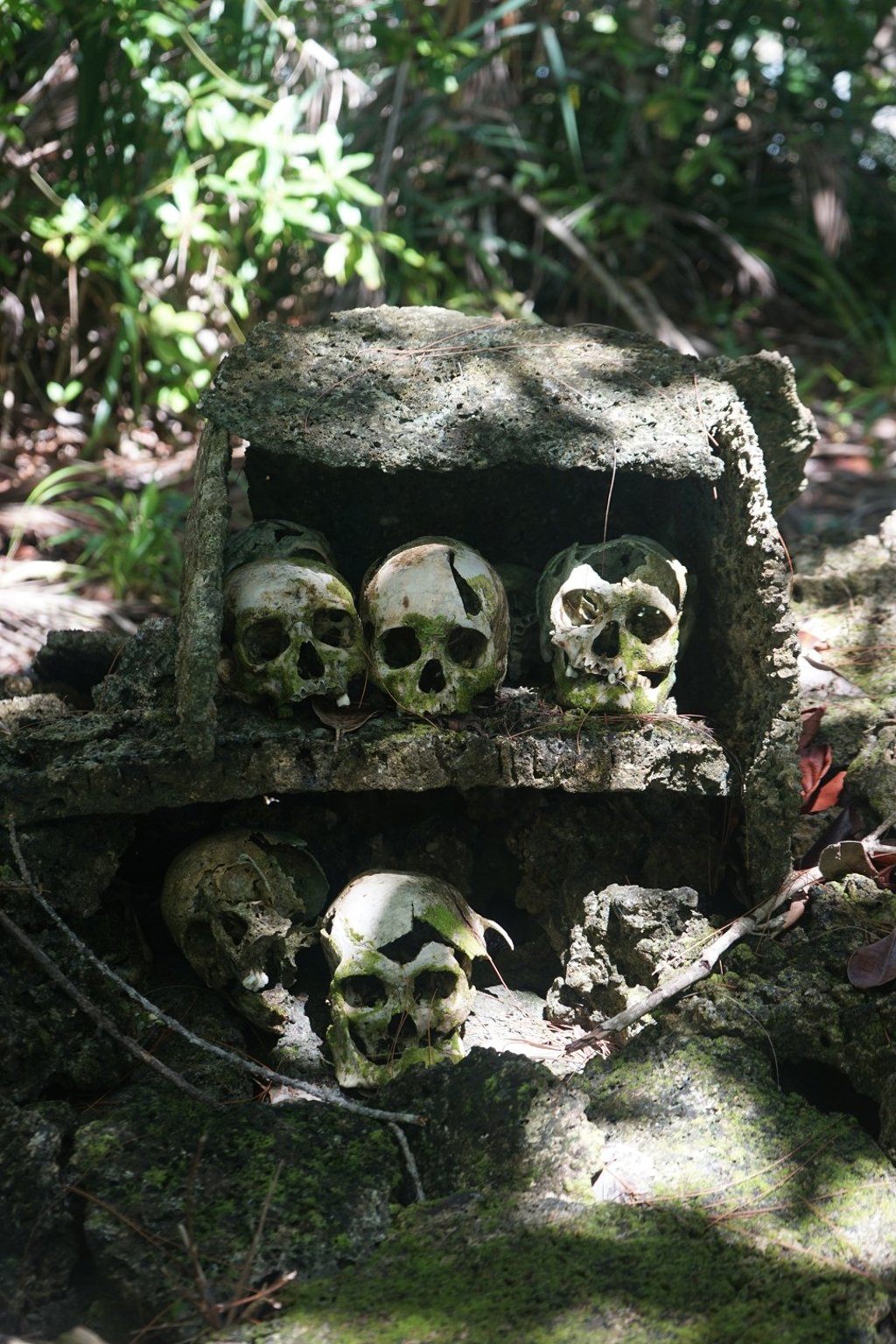 These human skulls are a throwback to the island’s headhunting past. Photo: Paul Niel