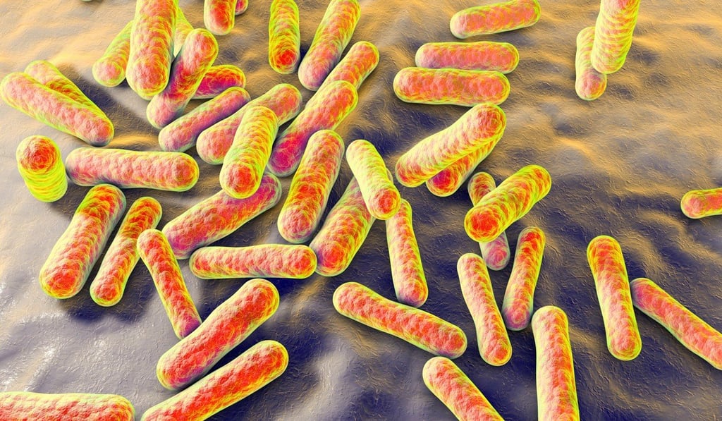 A computer illustration of Propionibacterium, a microorganism known to cause acne and other skin problems, and now implicated in frequent colds in some children. Photo: Alamy A computer illustration of Propionibacterium, a microorganism known to cause acne and other skin problems, and now implicated in frequent colds in some children. Photo: Alamy