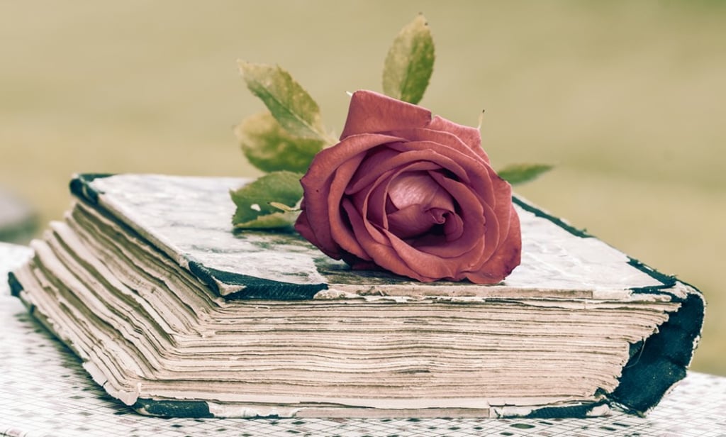 Romance novels are a great way to relax into your summer break. Photo: Shutterstock