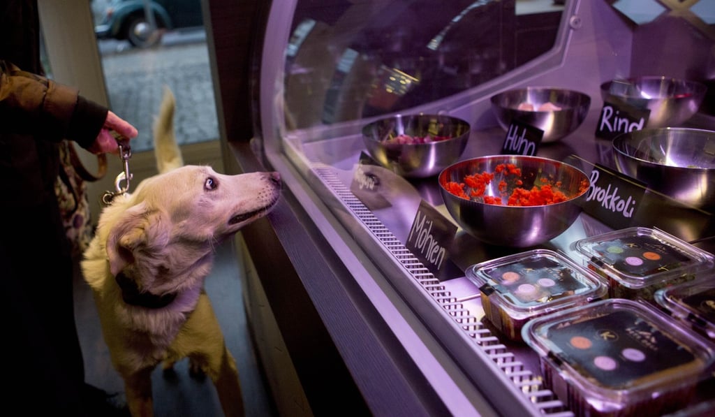 Overall, switching a dog to a vegetarian diet is ‘doable’, experts say. Photo: AFP