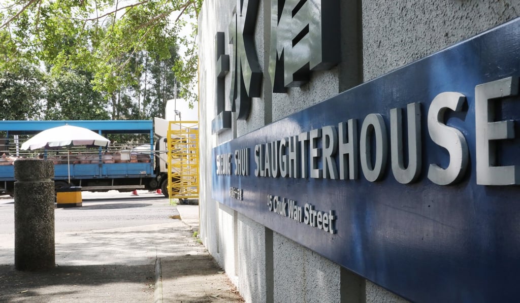 Sheung Shui slaughterhouse was closed for cleaning and disinfection last Friday after African swine fever was detected in a dead pig. Photo: K.Y. Cheng