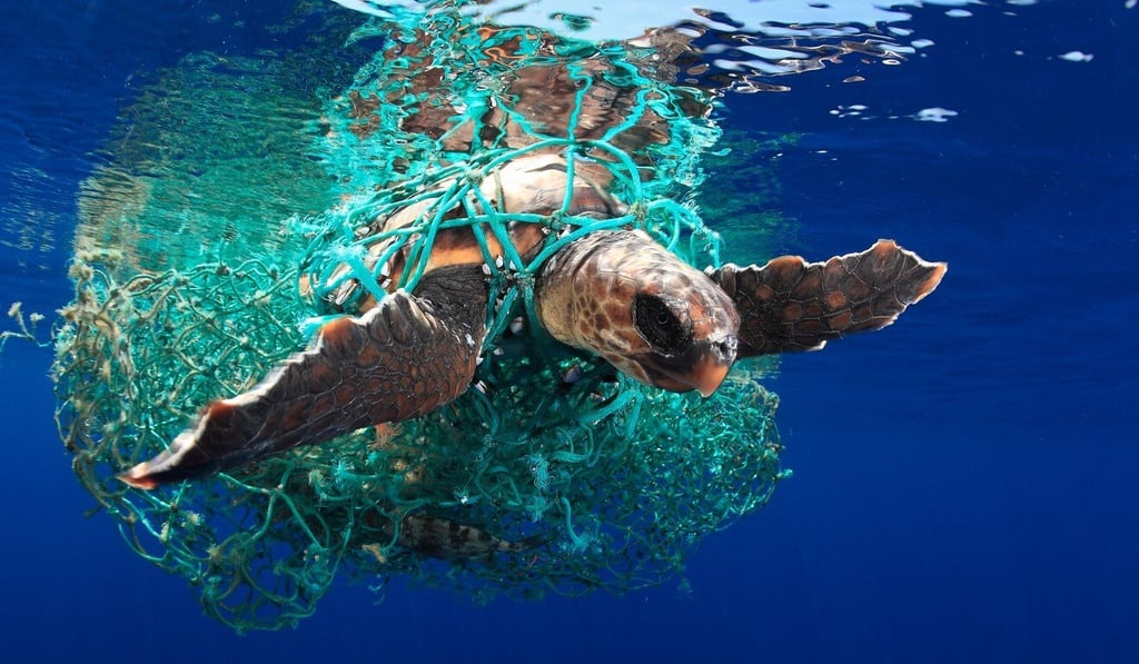 Ghost nets adrift at sea can trap marine life, leaving them to die a slow agonising death. Photo: Acevedo/UPY 2019
