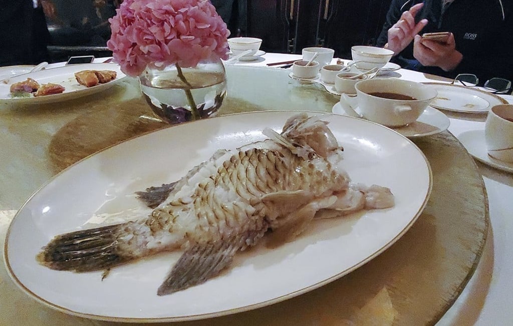 The Napoleon wrasse served to undercover activists at T’ang Court. Photo: WildAid / Red Door News