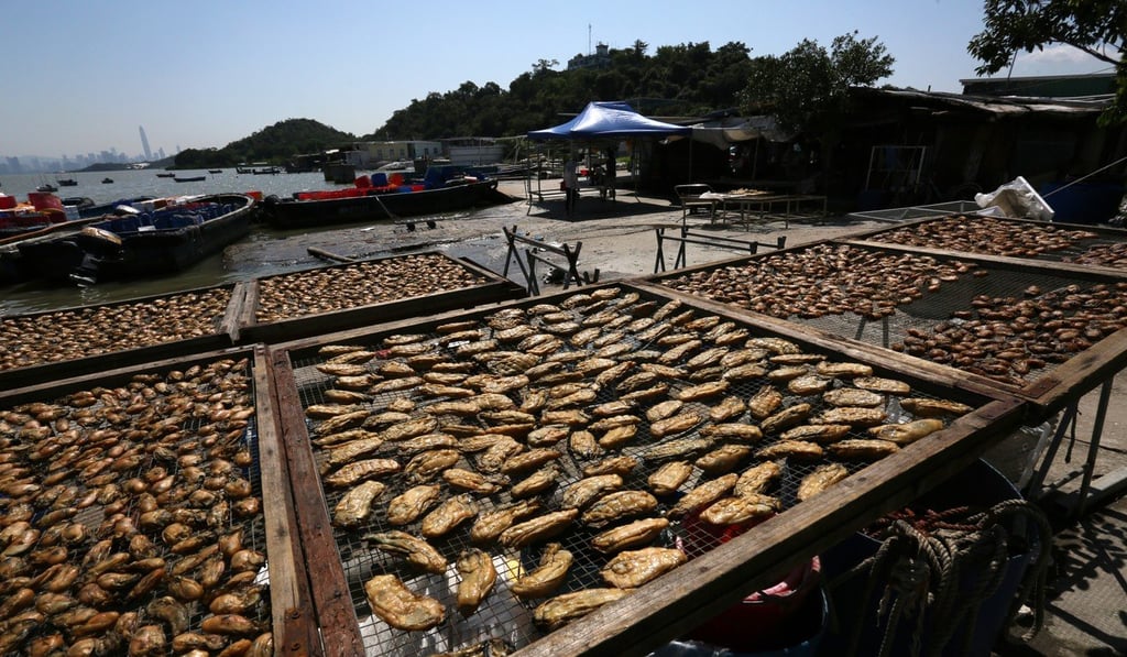 Native Hong Kong oysters will be sourced for the project from local farms in Lau Fau Shan. Photo: Jonathan Wong
