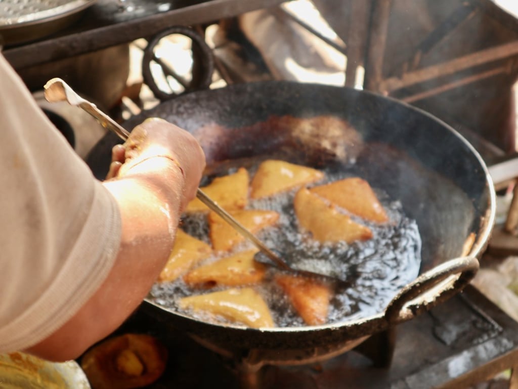 Holiday tours that cater to vegans are on the rise around the world, as more people embrace a cruelty-free lifestyle.