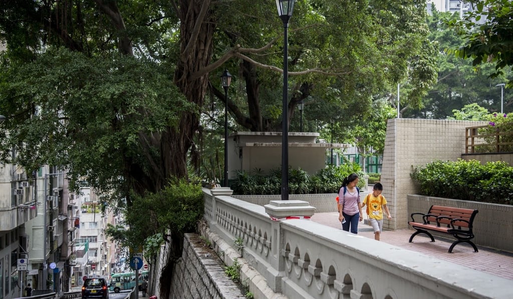 A banyan tree atop one of the historic retaining walls of King George V Memorial Park in Sai Ying Pun. The walls originally enclosed a hospital garden. Photo: Christopher DeWolf A banyan tree atop one of the historic retaining walls of King George V Memorial Park in Sai Ying Pun. The walls originally enclosed a hospital garden. Photo: Christopher DeWolf