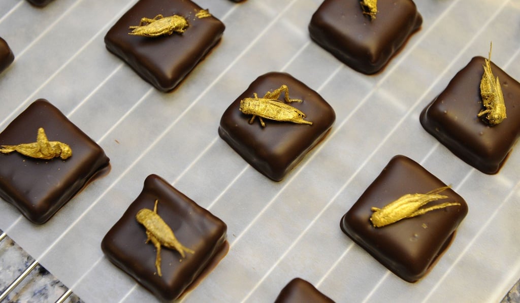 Chocolates topped with insects at Sylvain Musquar's chocolaterie in Villers-les-Nancy, north-eastern France, in October 2013. Photo: AFP