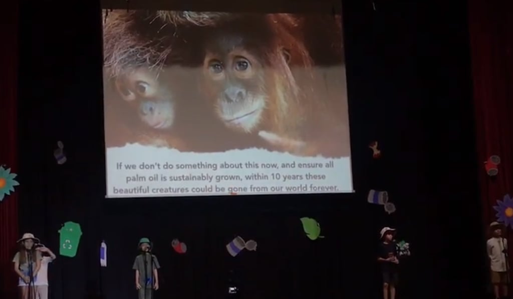 A still from the video of the anti-palm oil play that circulated online earlier in the week. Photo: YouTube