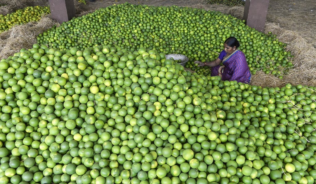 India hopes to boost food exports to China. Photo: AFP