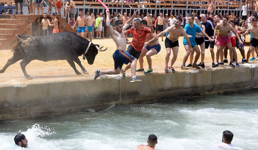 People jump into water to avoid the bulls. Photo: EPA
