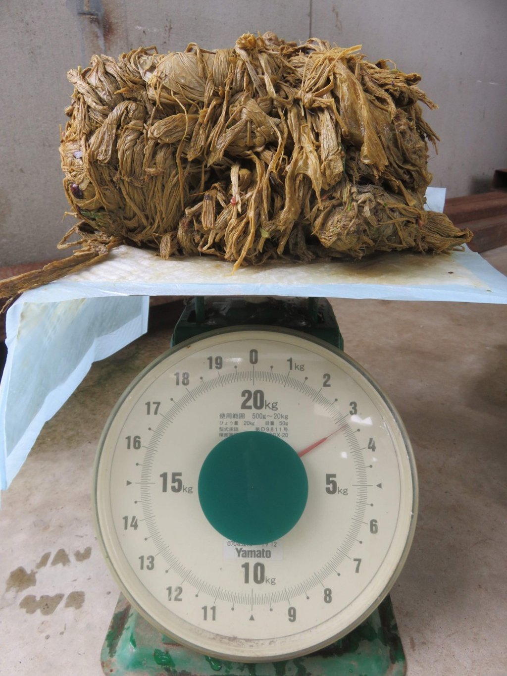 A photo released on Sunday shows a mass consisting of plastic bags found in the stomach of a deer in Nara Park, Japan. Photo: Nara Deer Preservation Foundation via AFP
