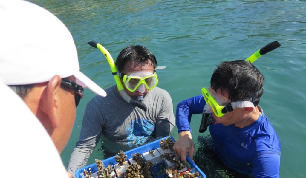 Banyan Tree Samui is helping regenerate coral reefs around the Thai island.