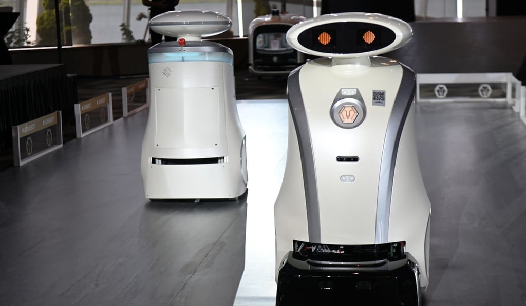 The robots on show during a launch on July 17. Photo: AFP