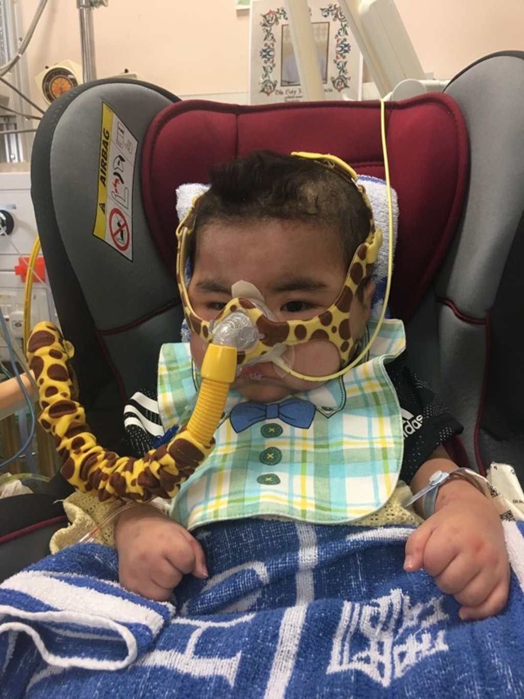 Chi-hoi after the heart transplant. Photo: Handout