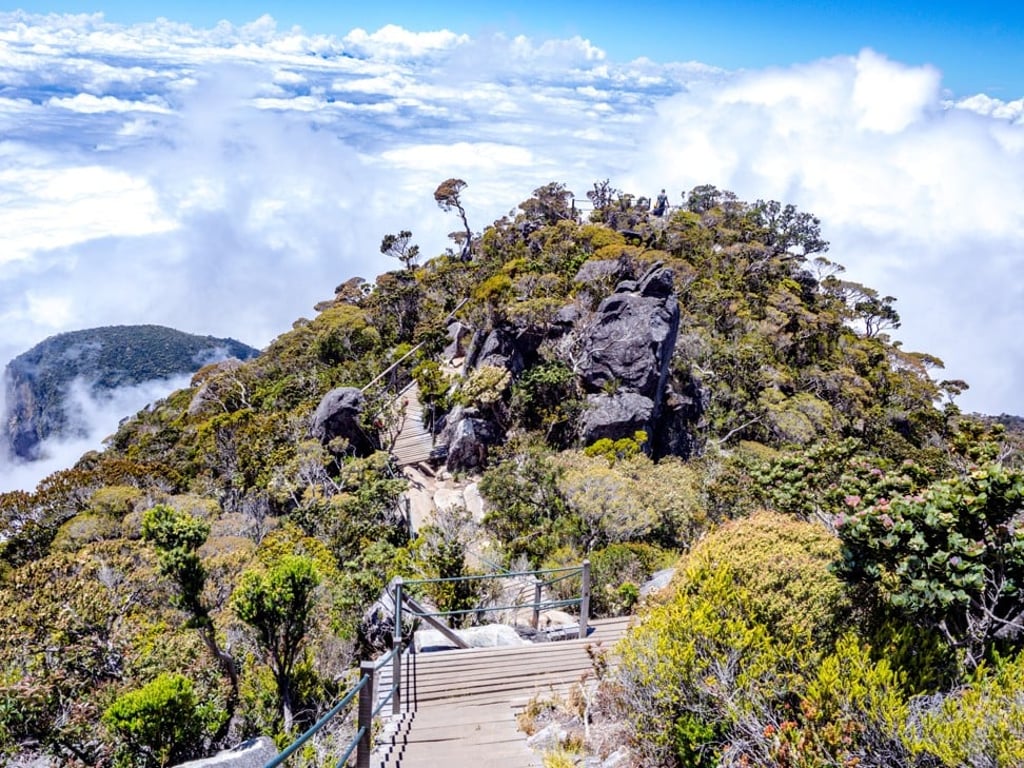 Steps going down from Sayat Sayat Checkpoint to Panalaban Base Camp. Photo: Nam Cheah Steps going down from Sayat Sayat Checkpoint to Panalaban Base Camp. Photo: Nam Cheah