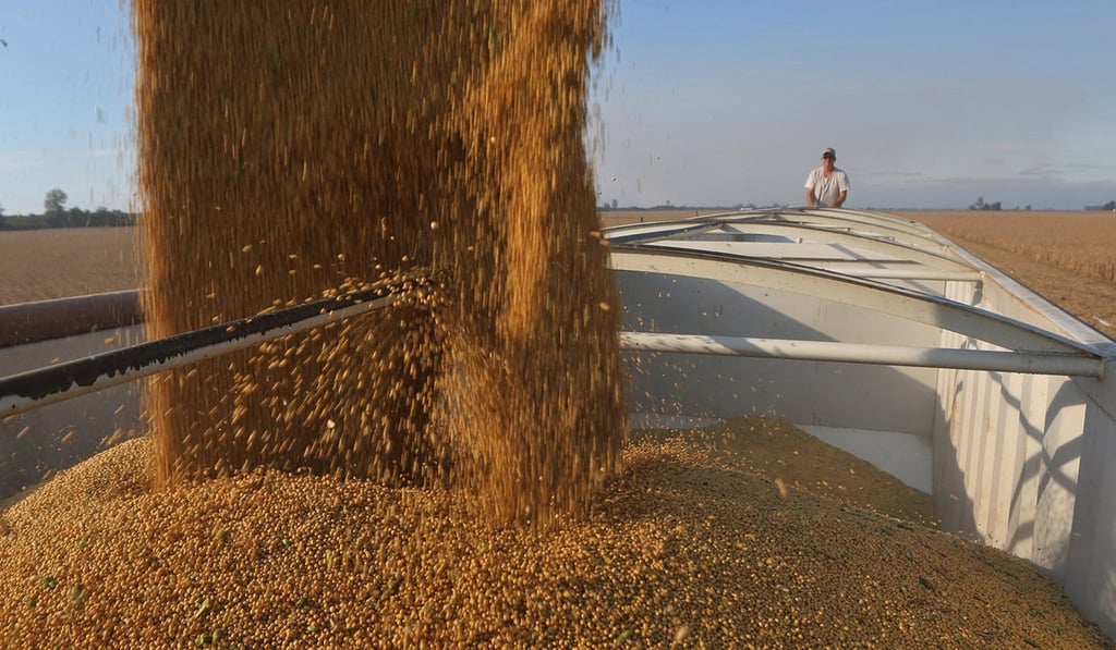 Soy imports from the US to China may herald a resumption of trade talks, Chinese state media say. Photo: TNS Soy imports from the US to China may herald a resumption of trade talks, Chinese state media say. Photo: TNS