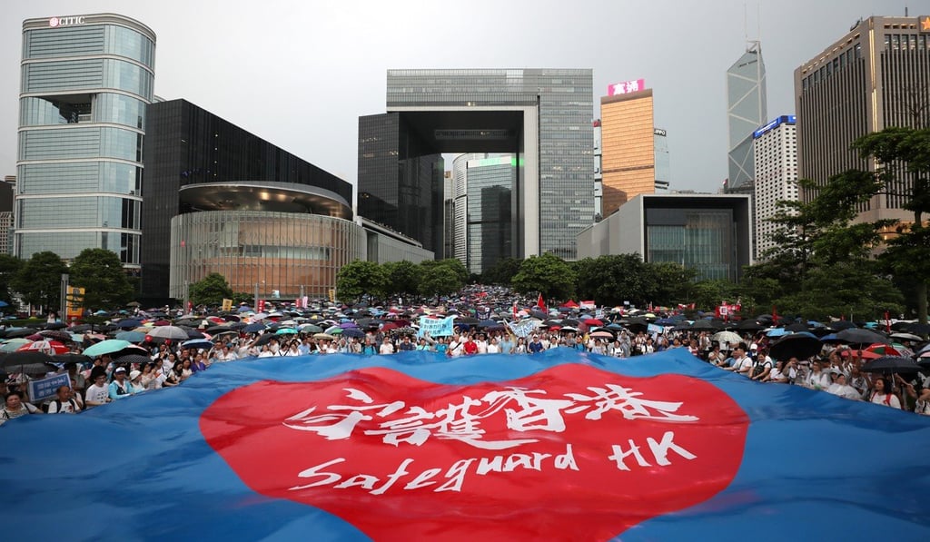 Pro-government supporters at the ‘Safeguard Hong Kong’ rally at Tamar Park last Saturday. Photo: Sam Tsang