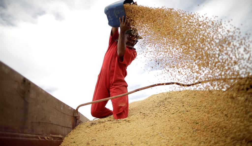 Brazilian soybeans – one of the country’s biggest exports – and other farm products are being sold to China as a result of the trade war. Photo: Reuters Brazilian soybeans – one of the country’s biggest exports – and other farm products are being sold to China as a result of the trade war. Photo: Reuters