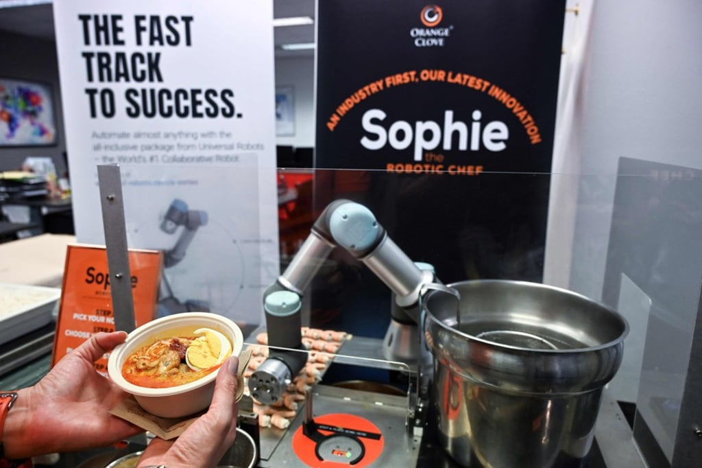 Sophie the robot was built by Orange Clove. Photo: AFP Sophie the robot was built by Orange Clove. Photo: AFP